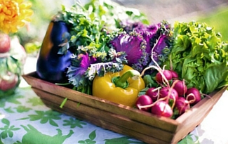 What To Do With Your Herb & Vegetable Harvest