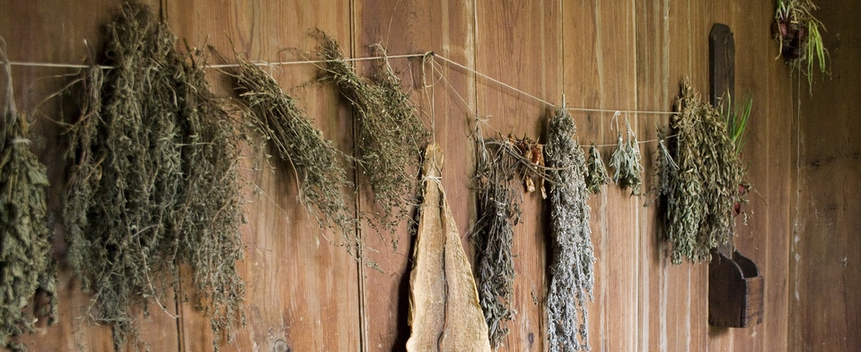 Hang Drying Herbs