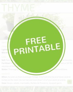 Thyme Printable Plant Profile